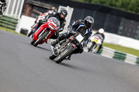 Vintage-motorcycle-club;eventdigitalimages;mallory-park;mallory-park-trackday-photographs;no-limits-trackdays;peter-wileman-photography;trackday-digital-images;trackday-photos;vmcc-festival-1000-bikes-photographs